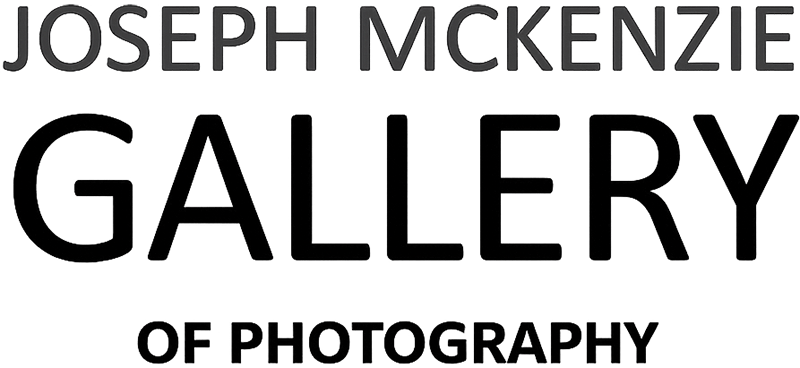 Joseph Mckenzie Gallery Logo